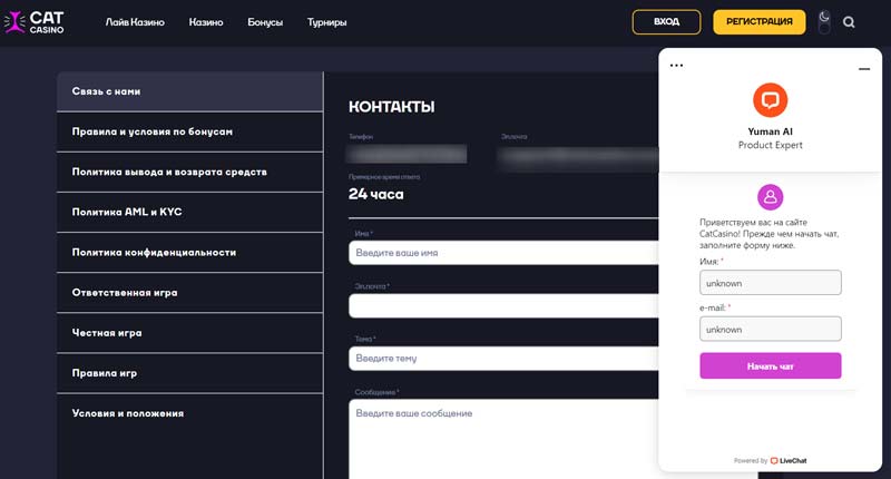 Саппорт в казино Кэт